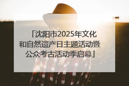 沈阳市2025年文化和自然遗产日主题活动暨公众考古活动季启幕