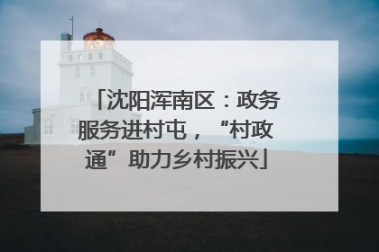 沈阳浑南区：政务服务进村屯，“村政通”助力乡村振兴