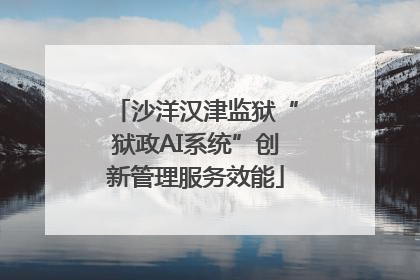 沙洋汉津监狱“狱政AI系统”创新管理服务效能