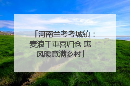 河南兰考考城镇：麦浪千重喜归仓 惠风暖意满乡村