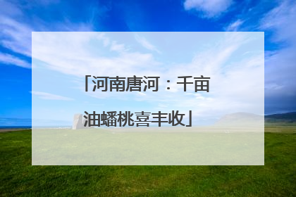 河南唐河：千亩油蟠桃喜丰收