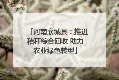 河南襄城县：推进秸秆综合回收 助力农业绿色转型