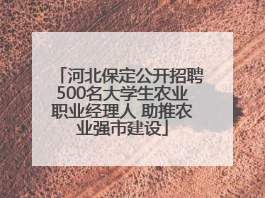 河北保定公开招聘500名大学生农业职业经理人 助推农业强市建设