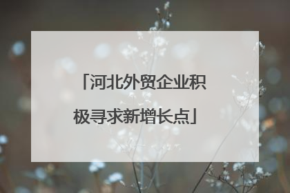 河北外贸企业积极寻求新增长点