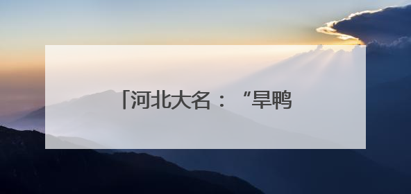 河北大名：“旱鸭子”英雄深水营救 托起沉没的希望