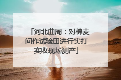 河北曲周：对棉麦间作试验田进行实打实收现场测产