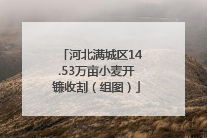 河北满城区14.53万亩小麦开镰收割（组图）