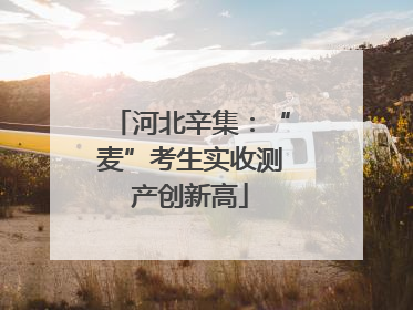 河北辛集：“麦”考生实收测产创新高