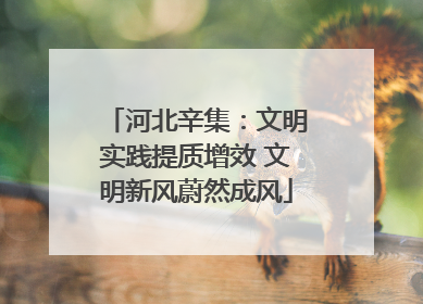 河北辛集：文明实践提质增效 文明新风蔚然成风