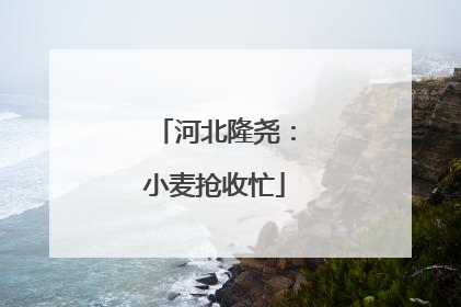 河北隆尧：小麦抢收忙