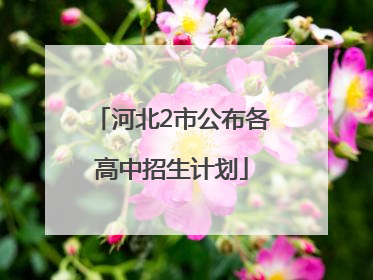 河北2市公布各高中招生计划