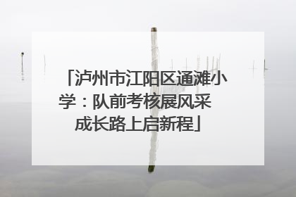 泸州市江阳区通滩小学：队前考核展风采 成长路上启新程