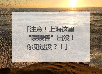 注意！上海这里“嘤嘤怪”出没！你见过没？！