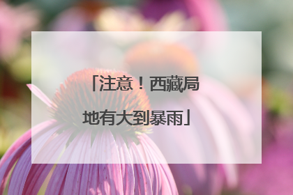 注意！西藏局地有大到暴雨