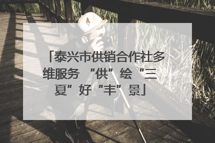 泰兴市供销合作社多维服务 “供”绘“三夏”好“丰”景