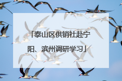 泰山区供销社赴宁阳、滨州调研学习