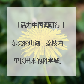 活力中国调研行丨东莞松山湖：荔枝园里长出来的科学城