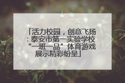 活力校园，创意飞扬：泰安市第一实验学校“一班一品”体育游戏展示精彩纷呈