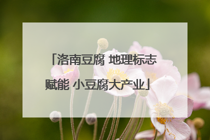 洛南豆腐 地理标志赋能 小豆腐大产业