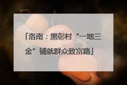 洛南：黑彰村“一地三金”铺就群众致富路