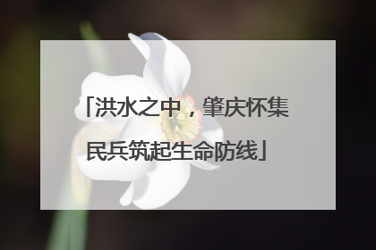 洪水之中，肇庆怀集民兵筑起生命防线