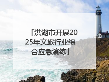 洪湖市开展2025年文旅行业综合应急演练
