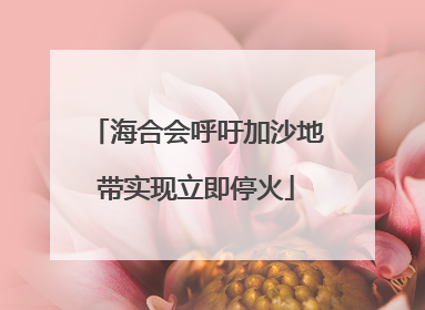 海合会呼吁加沙地带实现立即停火