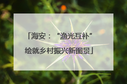 海安：“渔光互补” 绘就乡村振兴新图景