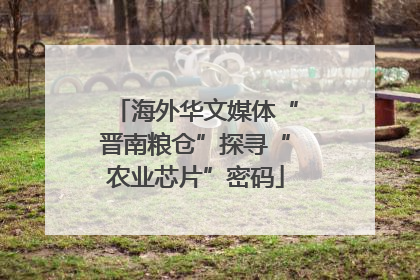 海外华文媒体“晋南粮仓”探寻“农业芯片”密码
