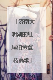 济南大明湖的红尾伯劳登枝高歌