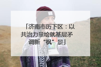 济南市历下区：以共治力量绘就基层矛调新“枫”景
