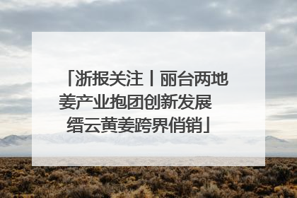浙报关注丨丽台两地姜产业抱团创新发展 缙云黄姜跨界俏销
