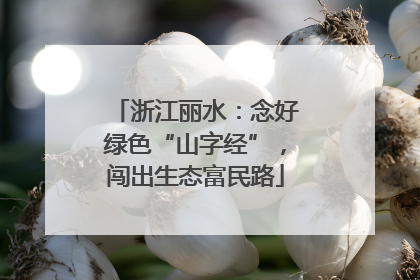 浙江丽水：念好绿色“山字经”，闯出生态富民路
