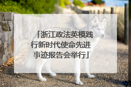 浙江政法英模践行新时代使命先进事迹报告会举行
