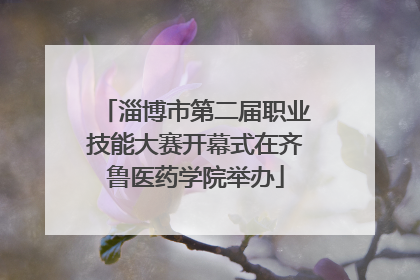 淄博市第二届职业技能大赛开幕式在齐鲁医药学院举办