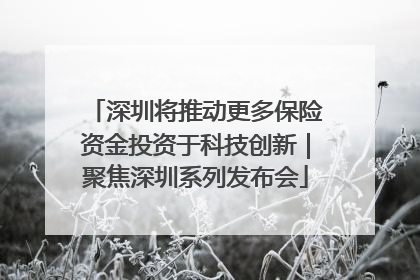 深圳将推动更多保险资金投资于科技创新｜聚焦深圳系列发布会