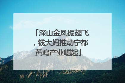 深山金凤振翅飞，钱大妈推动宁都黄鸡产业崛起