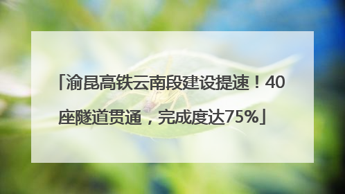 渝昆高铁云南段建设提速！40座隧道贯通，完成度达75%