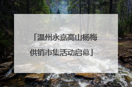 温州永嘉高山杨梅供销市集活动启幕