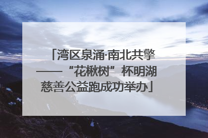 湾区泉涌·南北共擎——“花楸树”杯明湖慈善公益跑成功举办