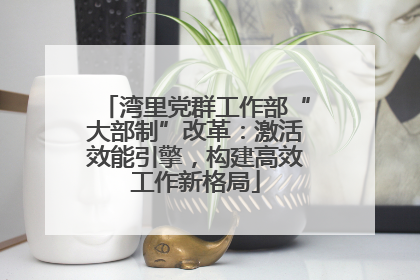 湾里党群工作部“大部制”改革：激活效能引擎，构建高效工作新格局