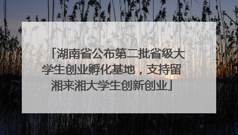 湖南省公布第二批省级大学生创业孵化基地，支持留湘来湘大学生创新创业