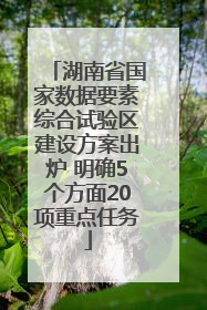 湖南省国家数据要素综合试验区建设方案出炉 明确5个方面20项重点任务