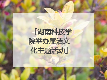 湖南科技学院举办廉洁文化主题活动