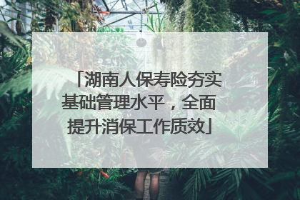 湖南人保寿险夯实基础管理水平，全面提升消保工作质效