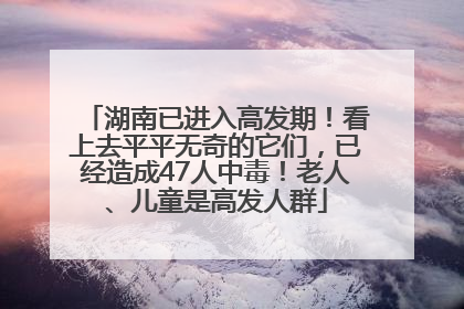 湖南已进入高发期！看上去平平无奇的它们，已经造成47人中毒！老人、儿童是高发人群