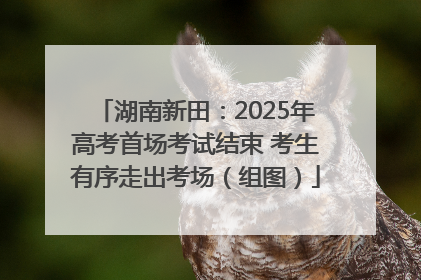 湖南新田：2025年高考首场考试结束 考生有序走出考场（组图）