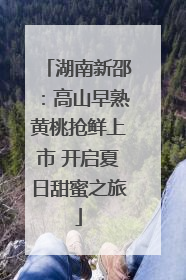 湖南新邵：高山早熟黄桃抢鲜上市 开启夏日甜蜜之旅