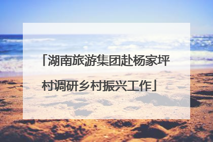 湖南旅游集团赴杨家坪村调研乡村振兴工作