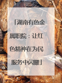 湖南有色金属职院：让红色精神在为民服务中闪耀